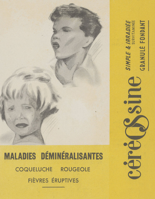 Gallery Edition study of Anonymous's Céréosine.