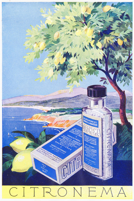 Gallery Edition study of Anonymous's Citronema.