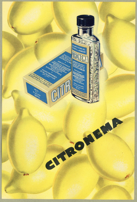 Gallery Edition study of Anonymous's Citronema.
