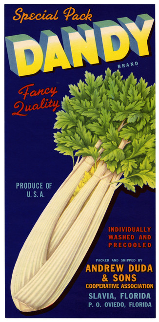 Gallery Edition study of Anonymous's Dandy Brand Celery Label.