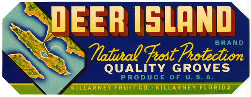 Gallery Edition study of Anonymous's Deer Island Brand Citrus Label.