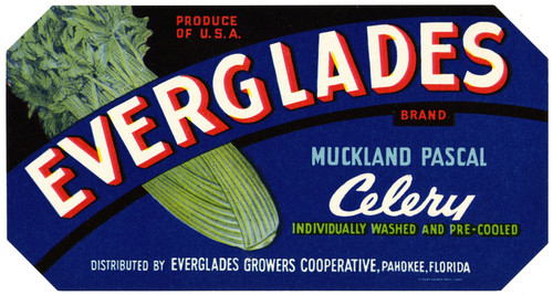 Gallery Edition study of Anonymous's Everglades Brand Muckland Pascal Celery Label.
