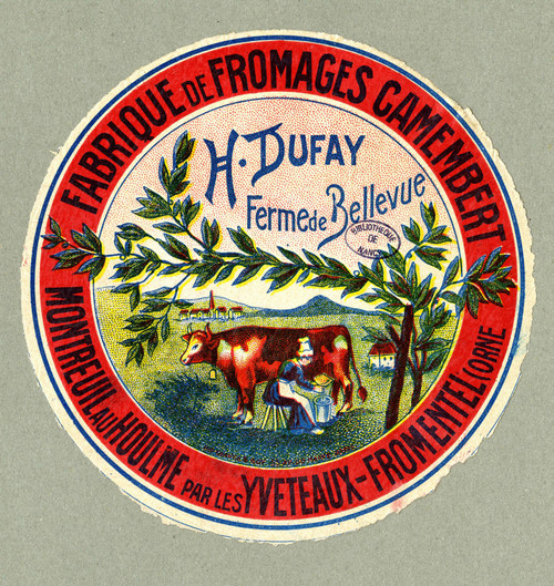 Gallery Edition study of Anonymous's Fabrique de fromages camembert.
