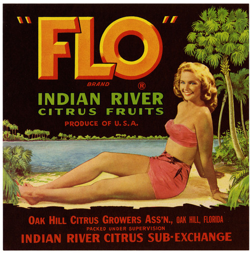 Gallery Edition study of Anonymous's Flo Brand Citrus Label.