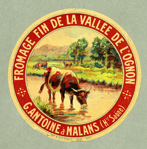 Gallery Edition study of Anonymous's Fromage fin de la vallée de l’Ognon.