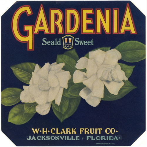 Gallery Edition study of Anonymous's Gardenia Fruit Label.