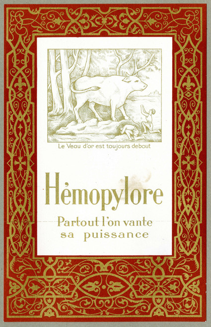 Gallery Edition study of Anonymous's Hémopylore.