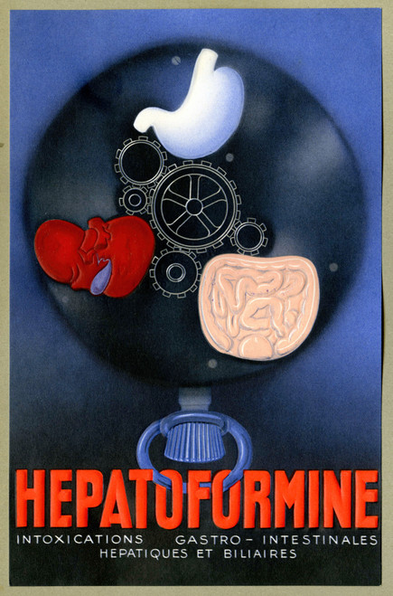 Gallery Edition study of Anonymous's Hepatoformine.