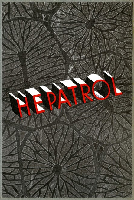 Gallery Edition study of Anonymous's Hepatrol.