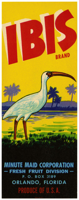 Gallery Edition study of Anonymous's Ibis Brand Fruit Label.