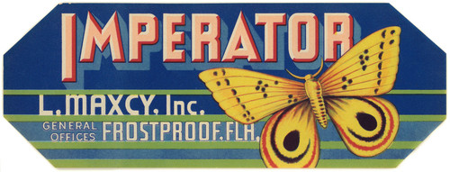 Gallery Edition study of Anonymous's Imperator Produce Label.