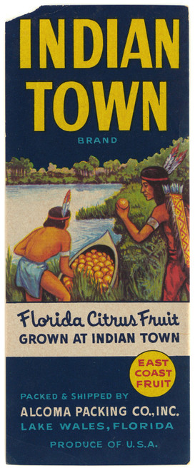 Gallery Edition study of Anonymous's Indian Town Brand Fruit Label.
