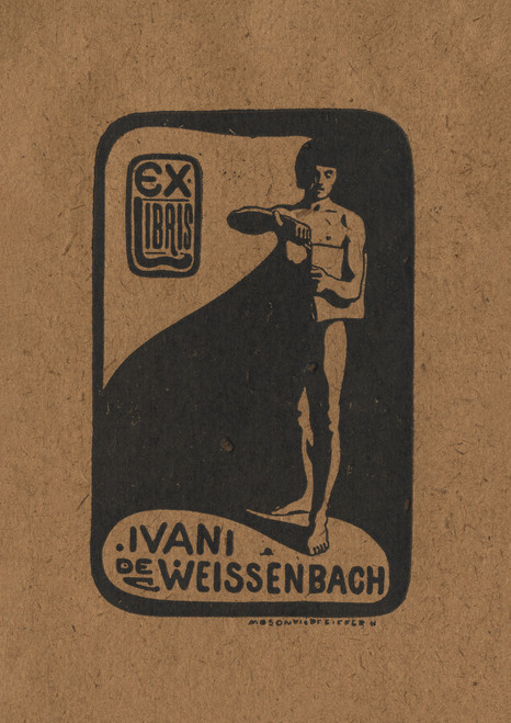 Gallery Edition study of Anonymous's Ivan Weissenbach.