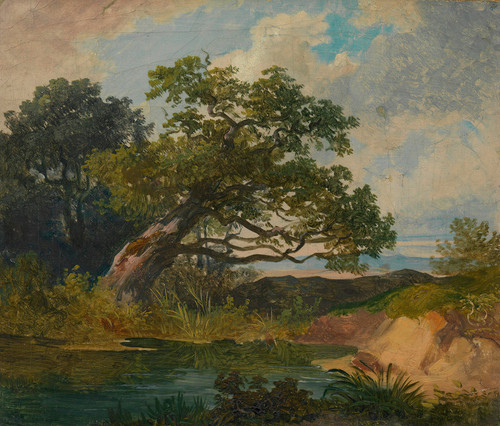 Gallery Edition study of Anonymous's Landschaftsstudie.