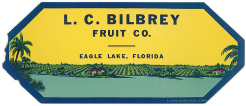 Gallery Edition study of Anonymous's L.C. Bilbrey Fruit Company Label.