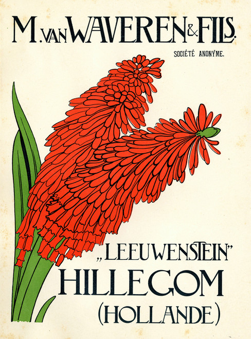 Gallery Edition study of Anonymous's Leeuwenstein.