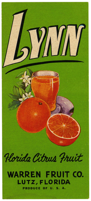 Gallery Edition study of Anonymous's Lynn Florida Citrus Fruit Label.