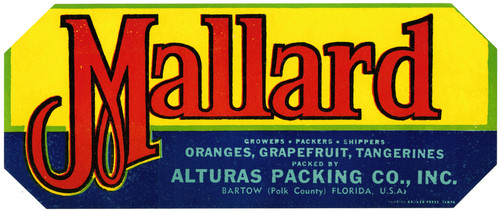 Gallery Edition study of Anonymous's Mallard Citrus Label.