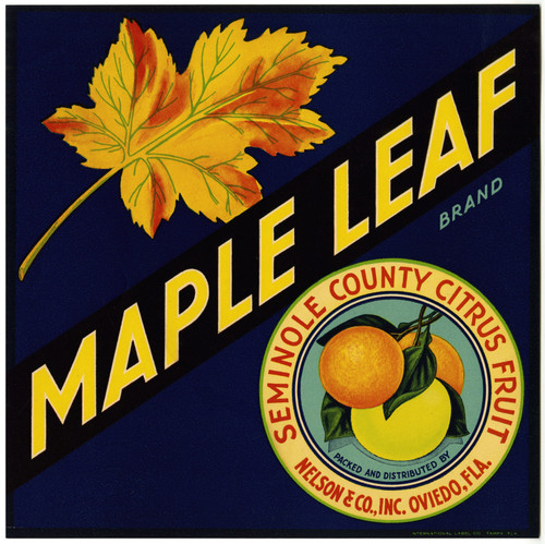 Gallery Edition study of Anonymous's Maple Leaf Brand Citrus Label.