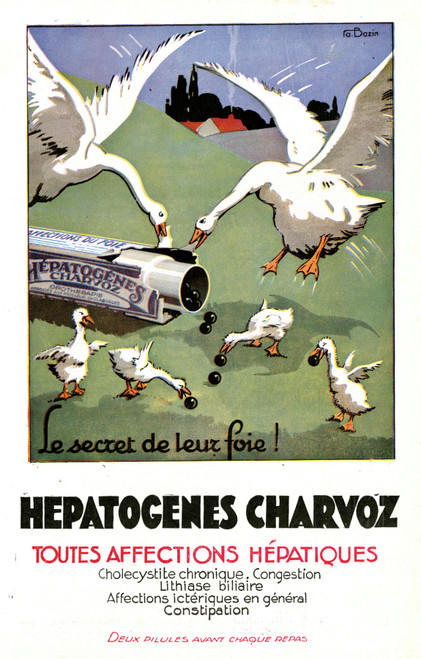 Gallery Edition study of A. Bazin's Hépatogènes Charvoz.