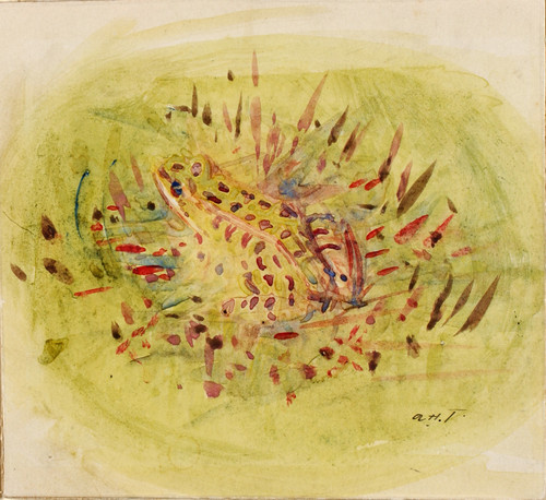 Gallery Edition study of Abbott Handerson Thayer's Frog.