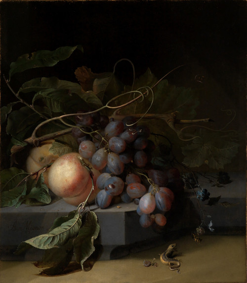 Gallery Edition study of Abraham Mignon's Fruchtstilleben mit Eidechse.