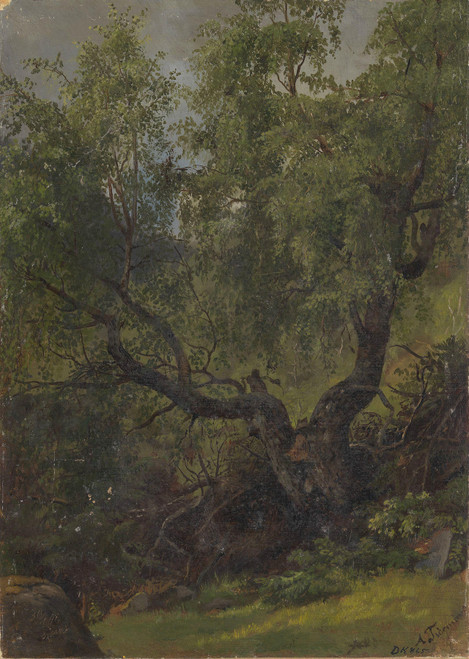 Gallery Edition study of Adolph Tidemand's Forest Study from Numedal.