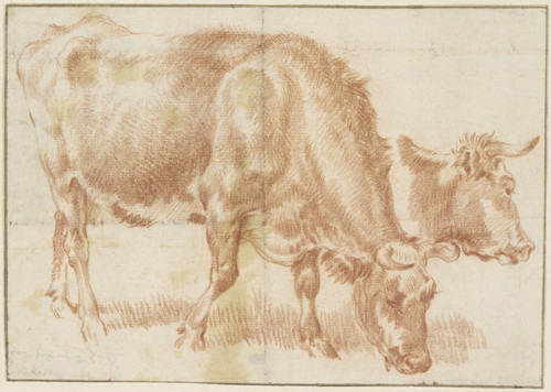 Gallery Edition study of Adriaen van de Velde's Grasendes Rind, rechts daneben ein Rinderkopf.