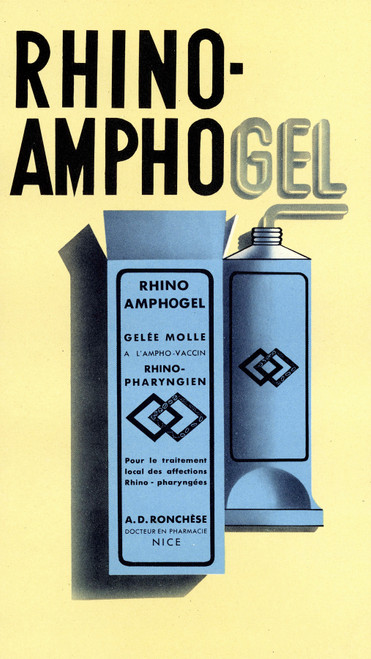 Gallery Edition study of A. D. Ronchèse's Rhino-Amphogel.