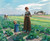 Gallery Edition study of Aimé Perret's The Lettuce Patch.