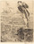 Gallery Edition study of Albert Besnard's Vertigo (Le vertige).