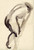 Gallery Edition study of Albert Daenens's lichaam.