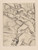 Gallery Edition study of Albert Sterner's Riot.