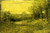 Gallery Edition study of Alexander Helwig Wyant's Spring.