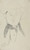 Gallery Edition study of Amedeo Modigliani's Benito.