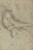 Gallery Edition study of Annibale Carracci's Satyr Holding a Roundel.