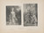 Gallery Edition study of Adolf Rosenberg's England.