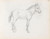 Gallery Edition study of Adolph Tidemand's Horse study.
