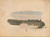 Gallery Edition study of Adolph Tidemand's Landscape Study.
