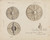 Gallery Edition study of Adolph Tidemand's Skjold.