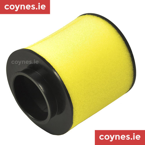 17254-HC5-900 air filter honda trx450 cheap ireland coynes.ie