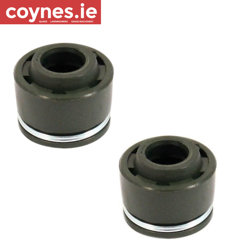 TRX400FW Valve Stem Seals Set Of 2 12209-KL4-005