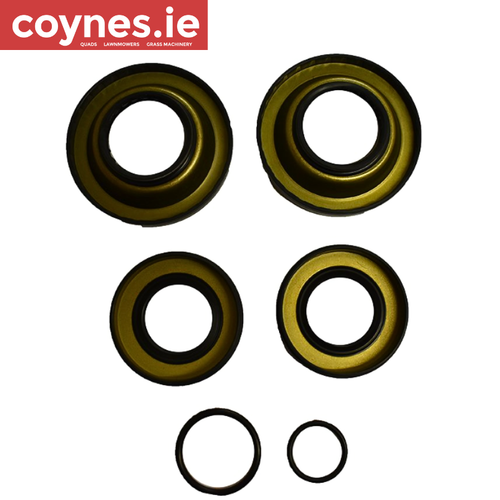 TRX420 FA IRS Rear Differential Seal Kit