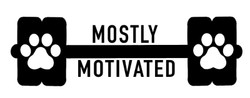 Mostly Motivated