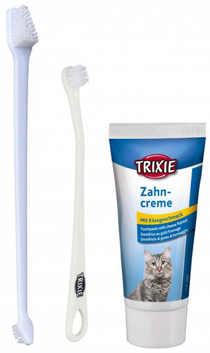 Tandvårdskitt med tandkräm och tandborste för katt