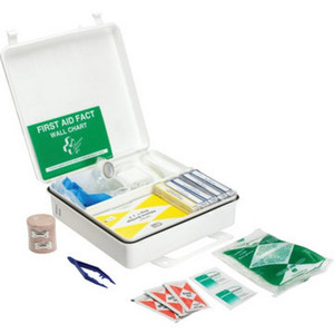 50 Person All Purposeose First Aid Kit