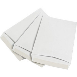 Cat Envelopes 10"X13" Wh "Pkg Of 100"