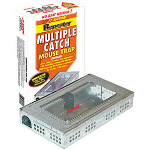 Multiple Catch Live Mouse Trap