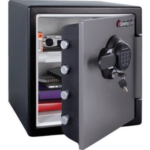 Sentry Fire Rated Electronic Safe "Fob"