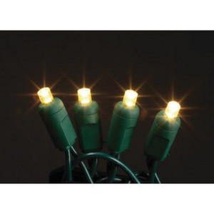 50 Led Holiday Lights, Warm White